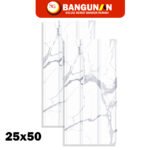 keramik dinding 25x50 tipe aquila white glossy timbul